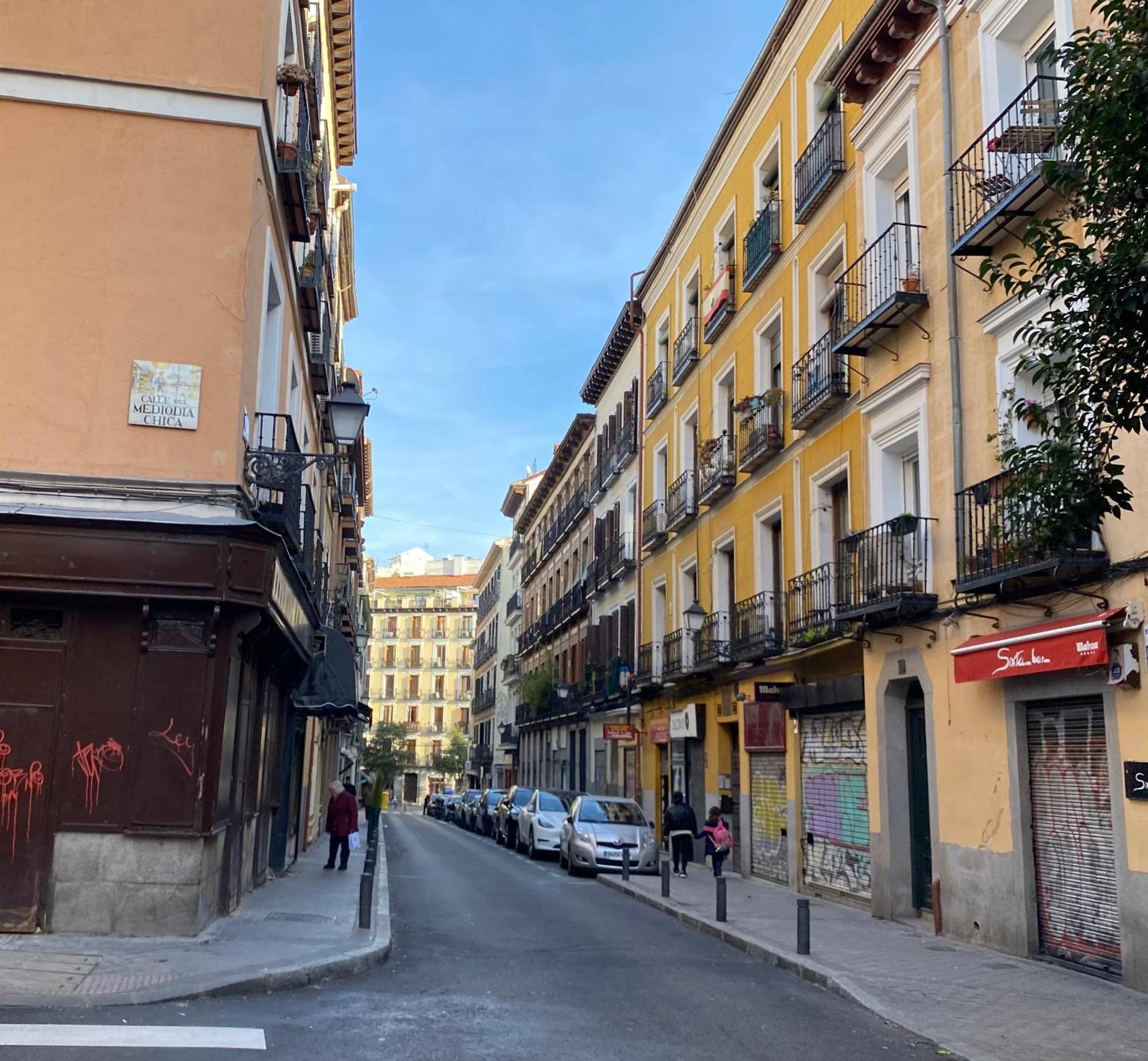 Apartament For Temporal Paloma-la Latina Pal4 *